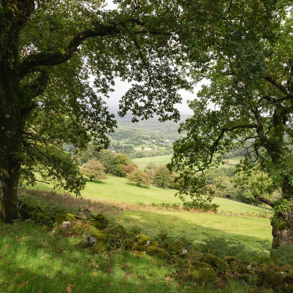 Vackra Landskapet Bilden Utsikten Från Branten Promenad Snowdonia Med Utsikt — Stockfoto