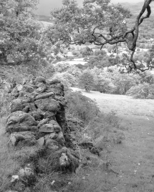 Uçurumun yürüyüş sırasında Eylül ayında yağmurlu öğleden sonra Barmouth ve Coed-y-Brenin orman bakan Snowdonia içinde gelen görünümünün siyah ve beyaz güzel manzara resmi