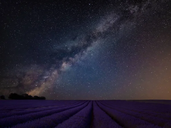 美丽薰衣草场景观的惊人的充满活力的银河复合图像 — 图库照片
