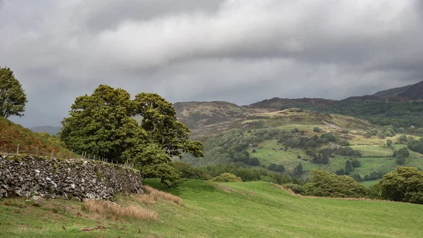 Beautiful Landscape Image View Precipice Walk Snowdonia Overlooking Barmouth Coed — Stock Photo, Image