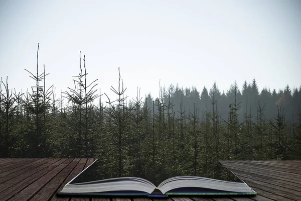 Beautiful landscape image of pine trees against misty distant background coming out of pages of open story book