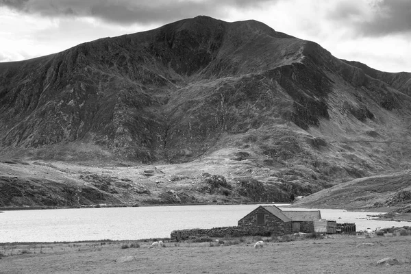 Schwarz Weiß Schöne Landschaft Bild Der Landschaft Llyn Ogwen Snowdonia — Stockfoto