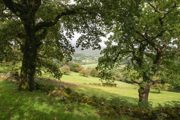 Krásná Krajina Obraz Pohled Propasti Chodit Snowdonia Výhledem Les Barmouth — Stock fotografie