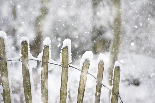 Close up detail of wooden fence in forest in heavy snow storm Winter landscape