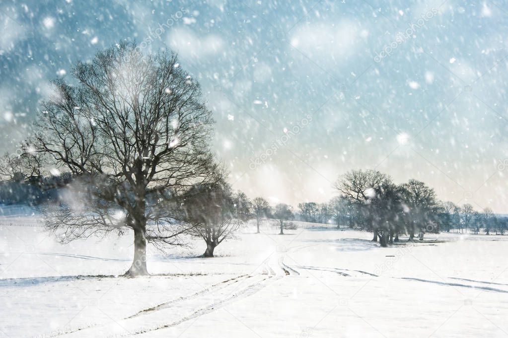 Countryside landscape across rural setting with Winter snow on ground and bright blue sky background in heavy snow storm