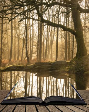Hala güzel güneş ışınları ve açık hikaye kitabın sayfalarını dışarı geliyor ışıma ile Lake District orman akışında çarpıcı manzara görüntü