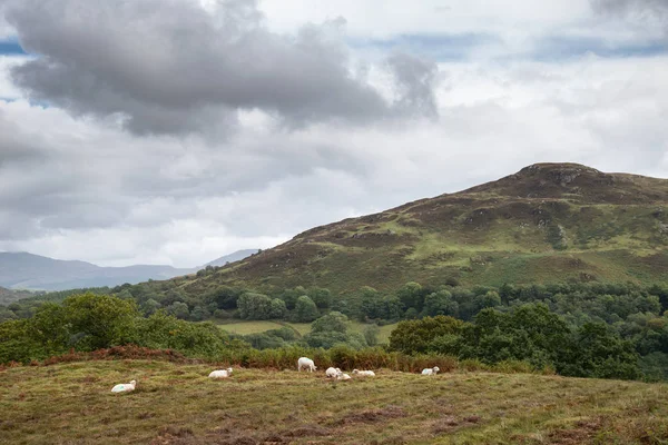 Krásná Krajina Obraz Pohled Propasti Chodit Snowdonia Výhledem Les Barmouth — Stock fotografie