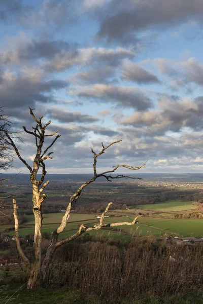 Beautiful Autumn Fall Landscape South Downs National Park English Countryside — Stock Photo, Image