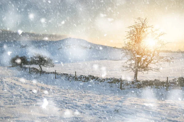 Sonnenaufgang Über Verschneiten Feldern Winterlicher Landschaft Bei Starkem Schneesturm — Stockfoto