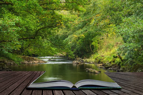 開いた本のページから出てくる穏やかな風景をゆっくりと流れる川と美しい緑豊かな緑の川岸 — ストック写真