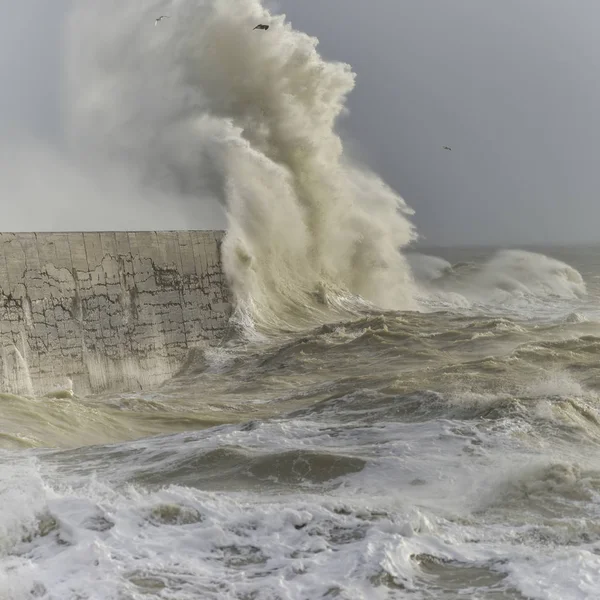 Потрясающие Волны Разбивающиеся Стену Гавани Время Ветреной Бури Ньюхейвене Английском — стоковое фото