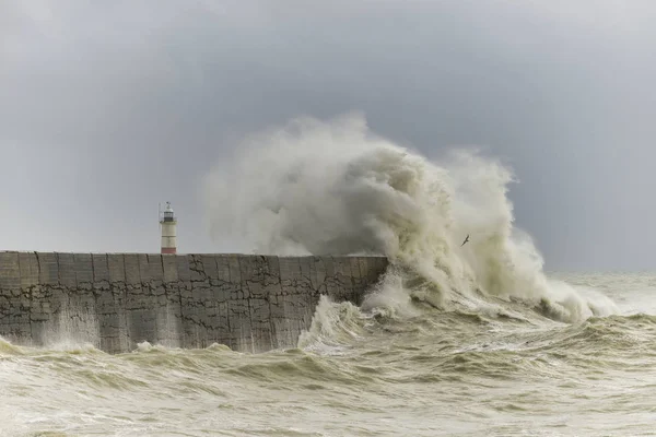 Nádherné Velké Vlny Přes Přístav Zeď Během Větrné Bouře Newhavenu — Stock fotografie