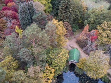 Renkli canlı sonbahar sonbahar İngilizce kırsal manzara çarpıcı güzel hava dron manzara resim
