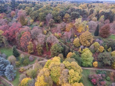 Renkli canlı sonbahar sonbahar İngilizce kırsal manzara çarpıcı güzel hava dron manzara resim