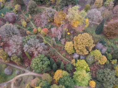 Renkli canlı sonbahar sonbahar İngilizce kırsal manzara çarpıcı güzel hava dron manzara resim