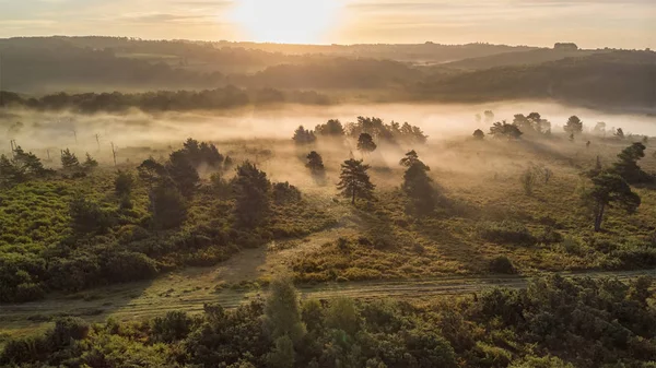 Beautiful Sunrise Landscape Image Drone Aerial View Autumn Fall Forest — Stock Photo, Image