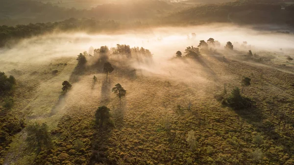 Beautiful Sunrise Landscape Image Drone Aerial View Autumn Fall Forest — Stock Photo, Image