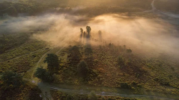 Schöne Sonnenaufgang Landschaft Bild Der Drohne Luftbild Herbst Herbst Herbst — Stockfoto