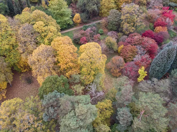 カラフルな活気のある秋秋のイギリスの田舎風景を見事な美しい空中ドローン景観イメージ — ストック写真