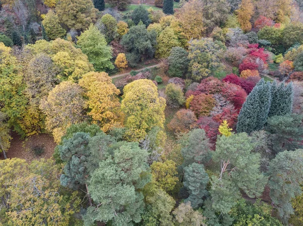 カラフルな活気のある秋秋のイギリスの田舎風景を見事な美しい空中ドローン景観イメージ — ストック写真
