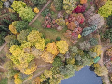 Renkli canlı sonbahar sonbahar İngilizce kırsal manzara çarpıcı güzel hava dron manzara resim