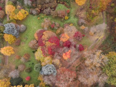 Renkli canlı sonbahar sonbahar İngilizce kırsal manzara çarpıcı güzel hava dron manzara resim