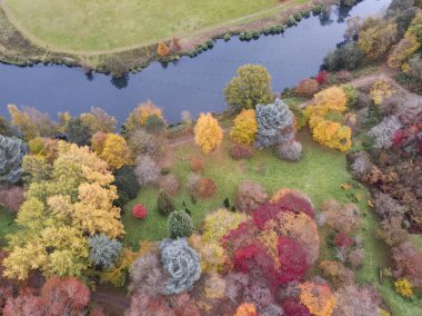 Renkli canlı sonbahar sonbahar İngilizce kırsal manzara çarpıcı güzel hava dron manzara resim