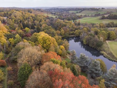 Renkli canlı sonbahar sonbahar İngilizce kırsal manzara çarpıcı güzel hava dron manzara resim