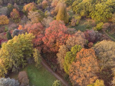 Renkli canlı sonbahar sonbahar İngilizce kırsal manzara çarpıcı güzel hava dron manzara resim