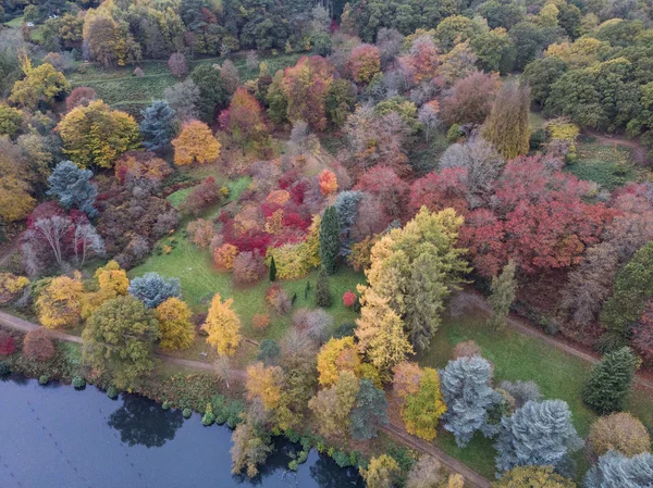 Renkli canlı sonbahar sonbahar İngilizce kırsal manzara çarpıcı güzel hava dron manzara resim