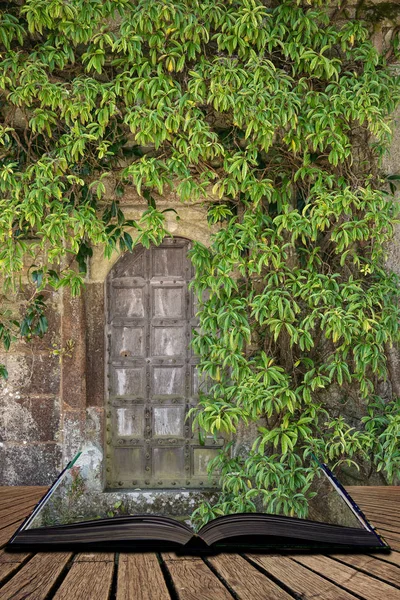 Schöne Alte Viktorianische Villa Eingangstür Umgeben Von Pflanzen Und Baum — Stockfoto