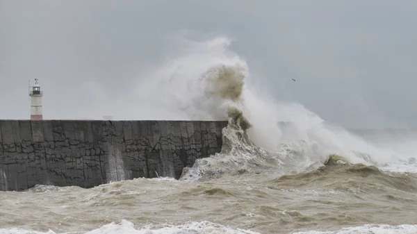 Fantastiska Vågor Kraschar Över Hamnen Väggen Blåsigt Storm Newhaven Engelska — Stockfoto