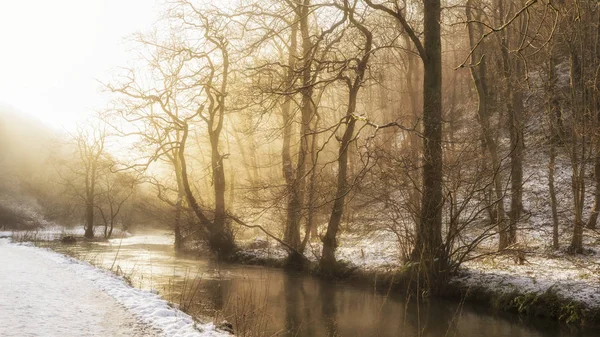 Atemberaubender Goldener Sonnenaufgang Über Der Landschaft Des Baches Winterwald Mit — Stockfoto