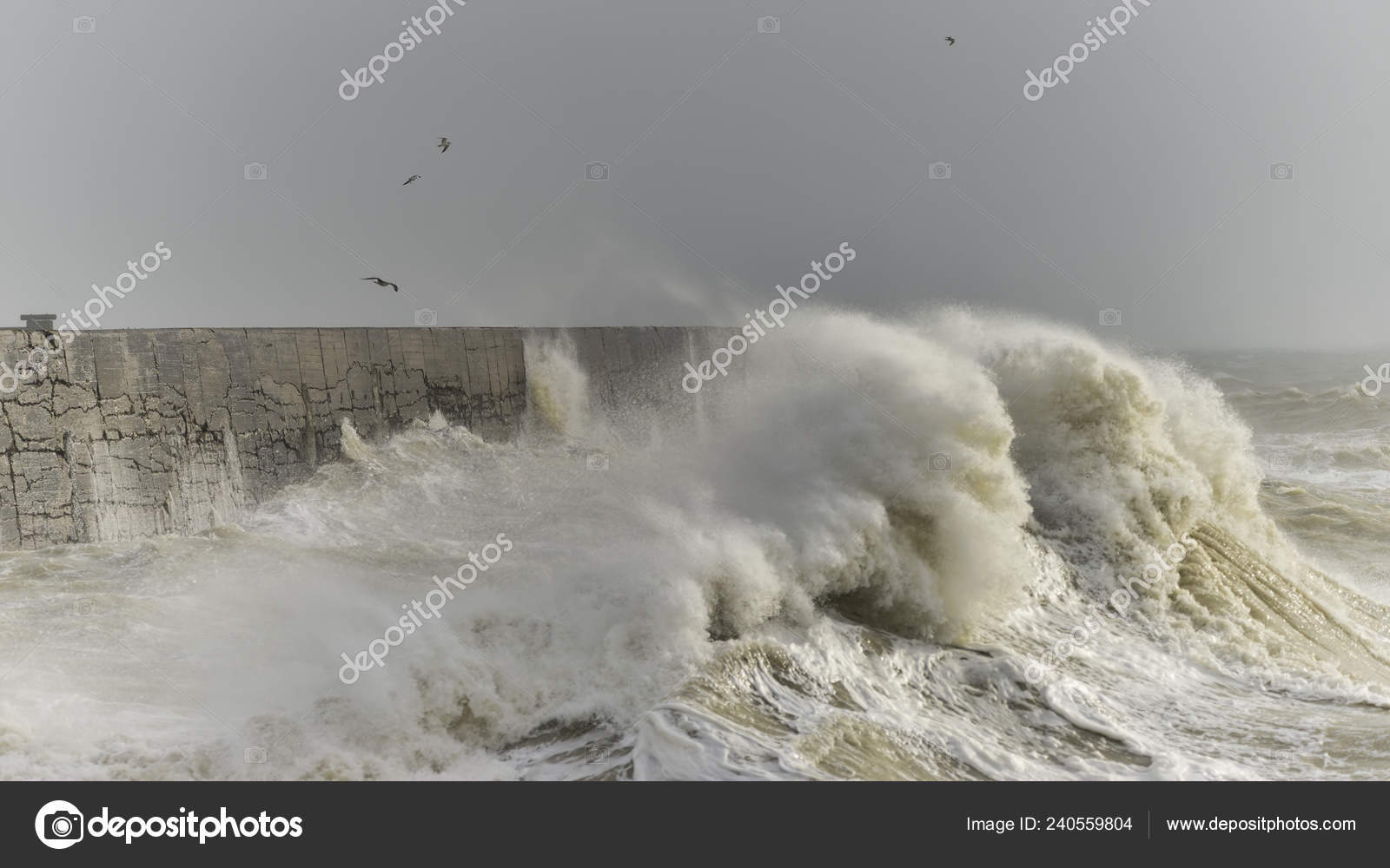 Ondas Impressionantes Batendo Sobre Parede Porto Durante Tempestade Vento  Newhaven — Foto © Veneratio #240559804, image size:1600x1000