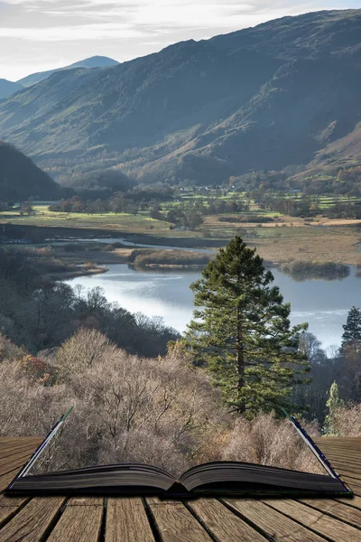 Walla Kaya Derwent Sayfalarını Dışarı Geliyor Suda Lake District Yakınındaki — Stok fotoğraf