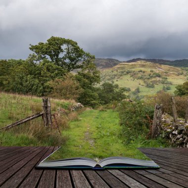 Uçurumun yürüyüş büyülü hikaye kitabı sayfalarında çıkan orman Barmouth ve Coed-y-Brenin bakan Snowdonia içinde gelen görünümünün güzel manzara resmi