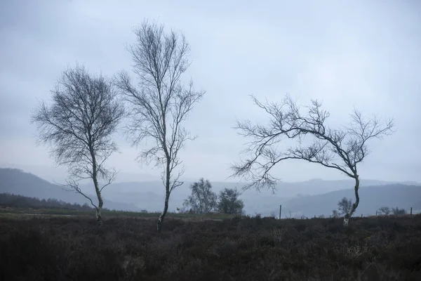 Schöne Stimmungsvolle Winterlandschaft Bild Von Skelettbäumen Peak District England Gegen — Stockfoto