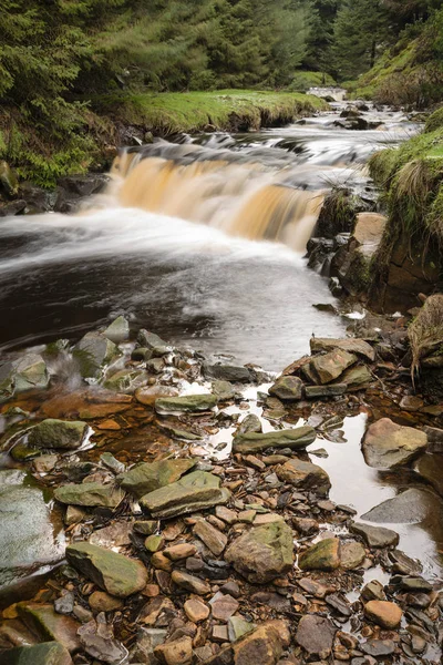 英国山顶区小溪水在松树中飞穿的美丽戏剧性景观形象 — 图库照片