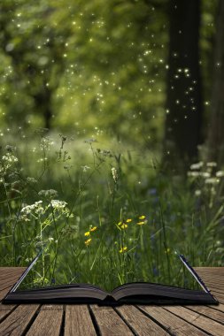Çarpıcı fantezi stil peyzaj görüntü ateş böcekleri gece tim
