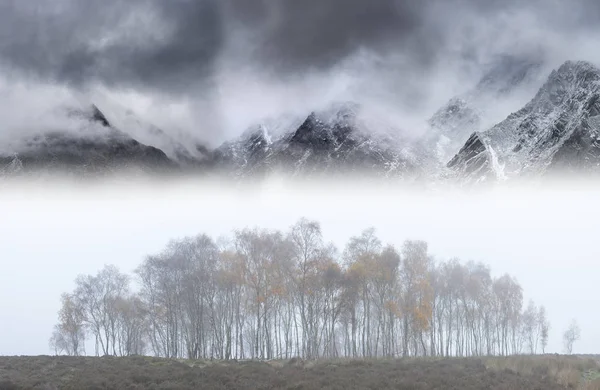 Image de paysage épique en automne avec des arbres brumeux devant la draa — Photo