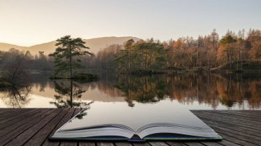 Tarn Hows Lake District olarak güzel manzara resim b sırasında