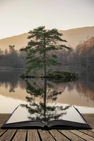 Beautiful landscape image of Tarn Hows in Lake District during b