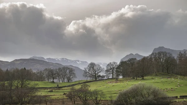 Mody landscape image of Loughrigg Tarn in UK Lake District durin — Stock Photo, Image