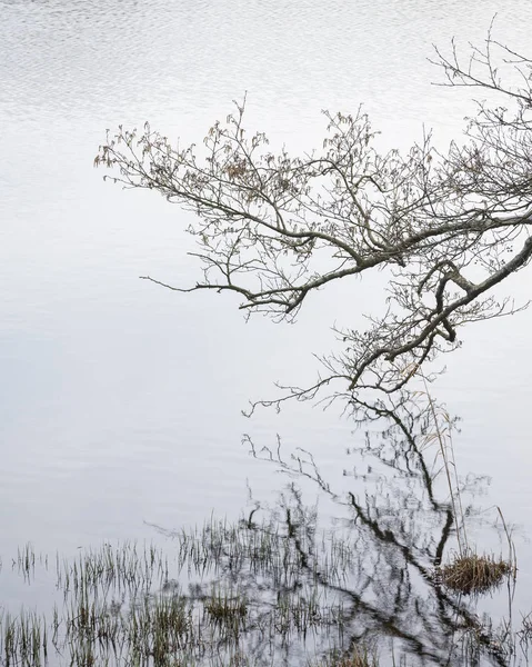 Mody táj képe Loughrigg Tarn az Egyesült Királyság Lake District Durin — Stock Fotó