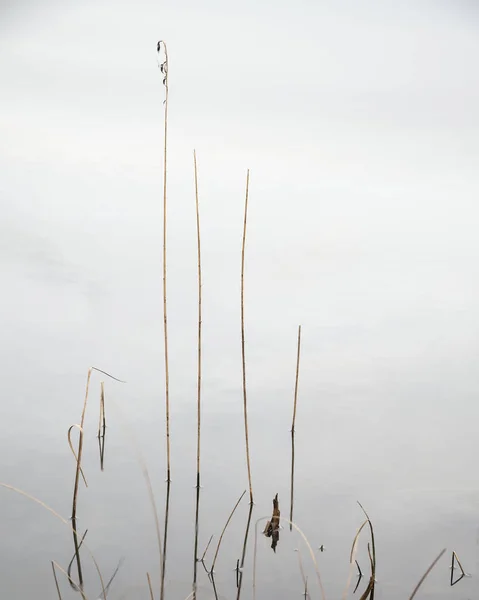 Mody image de paysage de Loughrigg Tarn au Royaume-Uni Lake District durin — Photo