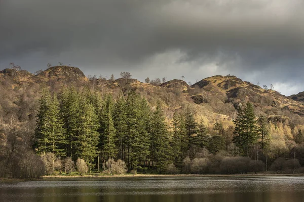 Oszałamiająca wiosna krajobraz obraz Yew Tree Tarn w UK Lake dist — Zdjęcie stockowe