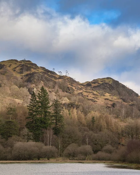 UK göl Dist Yew Tree Tarn çarpıcı bahar manzara görüntü — Stok fotoğraf