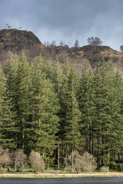 UK göl Dist Yew Tree Tarn çarpıcı bahar manzara görüntü — Stok fotoğraf