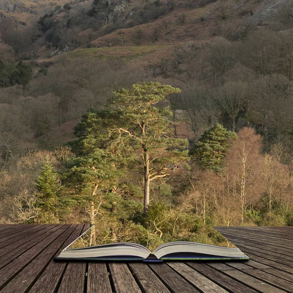 Impresionante imagen de paisaje del campo alrededor de Rydal Water en el Reino Unido —  Fotos de Stock