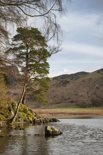 Schöne lebendige Sonnenaufgang Landschaft Bild von blea tarn in uk lak — Stockfoto